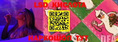 гидропоника Новокубанск