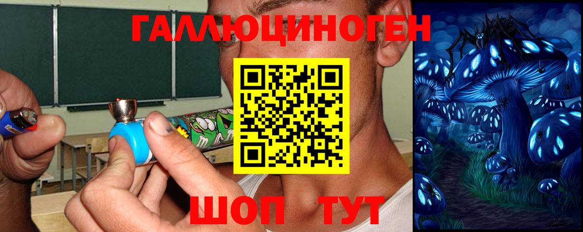 Псилоцибиновые грибы Psilocybe  Вход с VPN  где можно купить наркотик  Соль-Илецк 